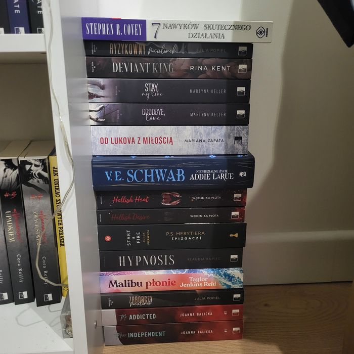 Niewidzialne życie addie larue