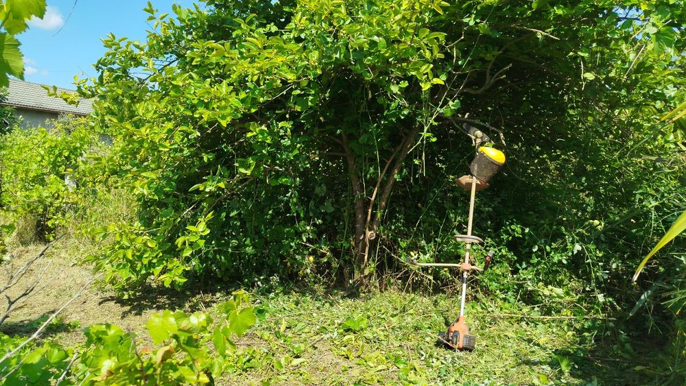 Limpeza de Terrenos, ruínas, mato junto a residências, etc