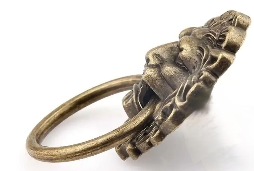 Par de Puxadores Cabeça de Leão