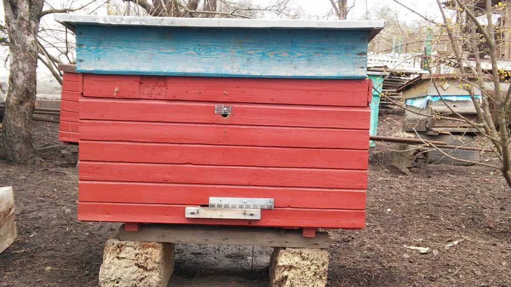 Продам бджолопакети 4+1