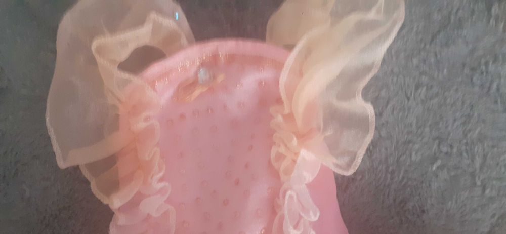 Roupa de carnaval  fadinha