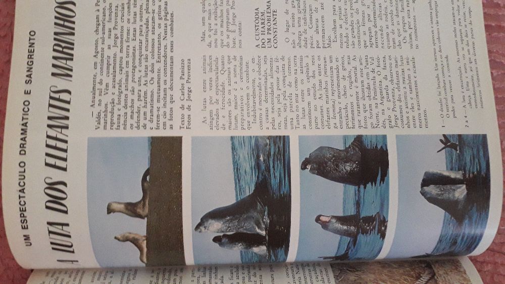 Livro para caça e pesca,, DIANA ,,