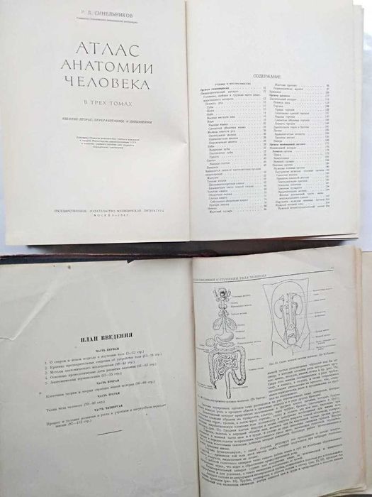 Анатомия человека физиология. Атлас анатомии человека. Синельников: 250 ...