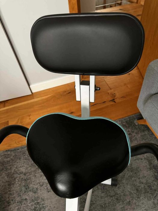 rower stacjonarny treningowy skandika fitness