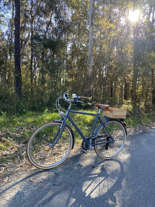 Bicicleta Homem | Adriática