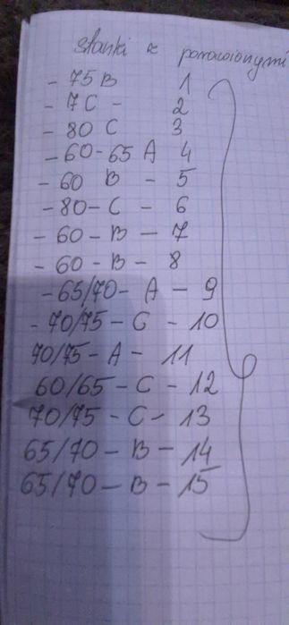 Biustonosz  push up