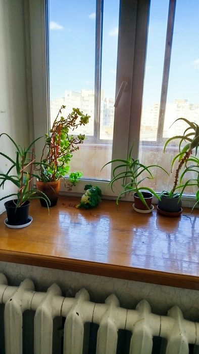 Здам кімнату з власним санвузлом та виходом на балкон.— вул. Вишняківська, 9 (м. Харківська, 10 хв пішки)