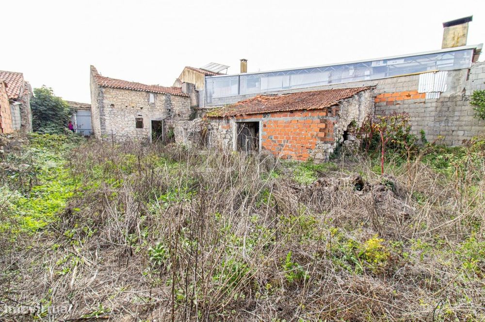 Foco no Investimento (Direto e Pragmático)