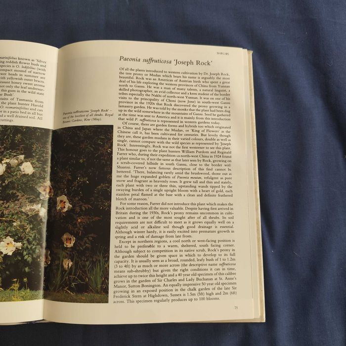 Roy Lancaster - Garden Plants for Connoisseurs