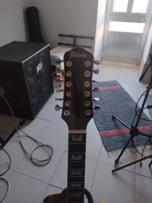 Viola 12 cordas, como nova