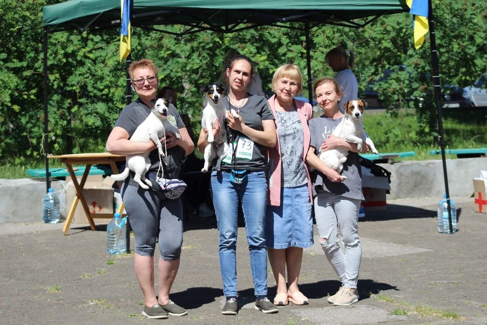 Готові їхати до нових родин вже сьогодні