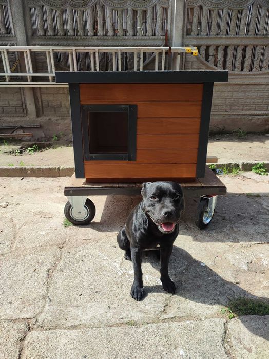 Solidna buda dla średniego psa Beagle !!!