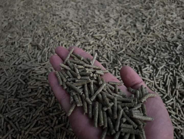 Корм для шиншил !