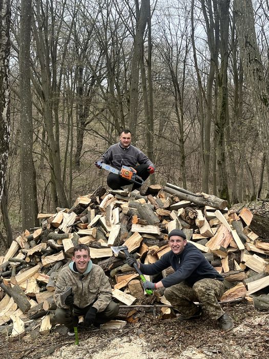 Косіння трави, зрізання дерев та розчистка ділянок