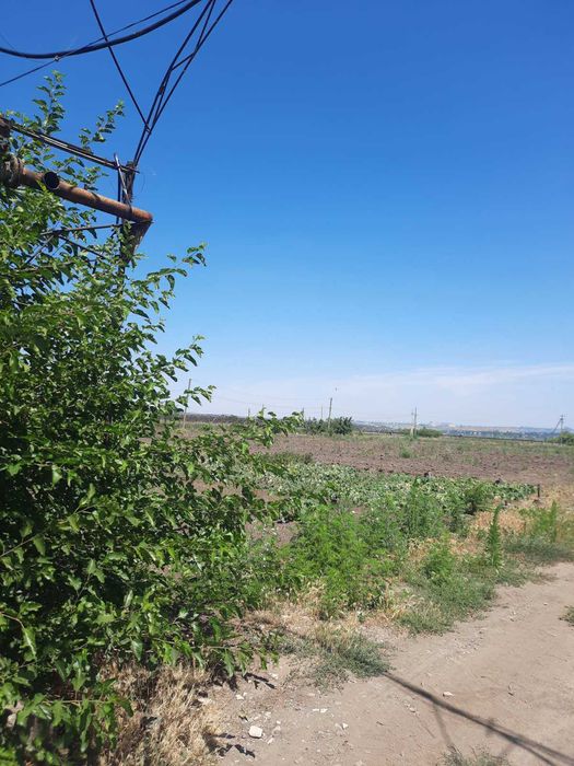 Продам земельну ділянку