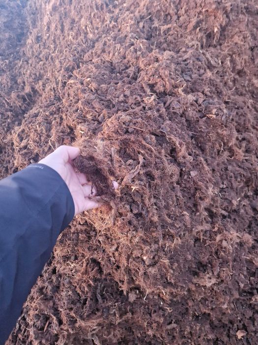 Torf litewski kwaśny pod borówkę amerykańską  dostawy luzem