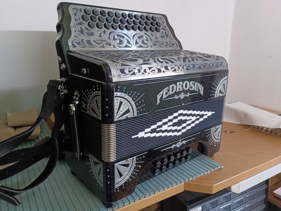 Concertina pedrosini Leiria, Pousos, Barreira E Cortes • OLX Portugal