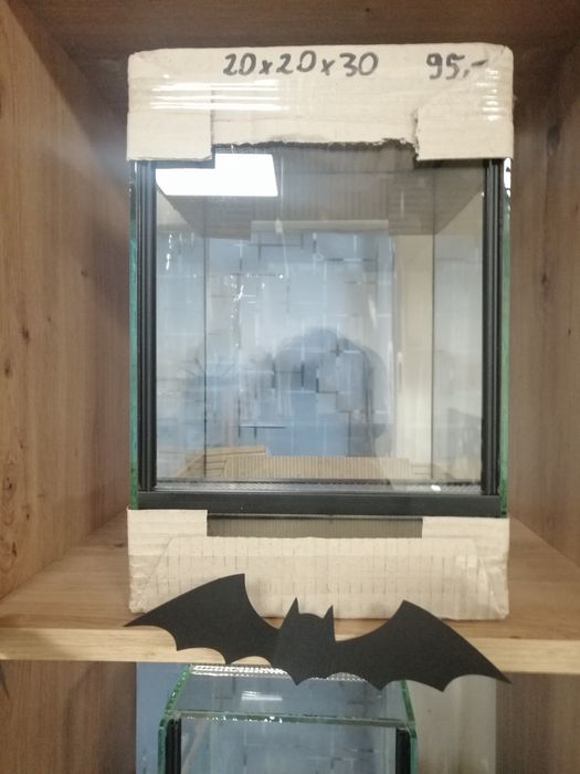 Terrarium 20x20x30 patyczak gekon wąż ślimak