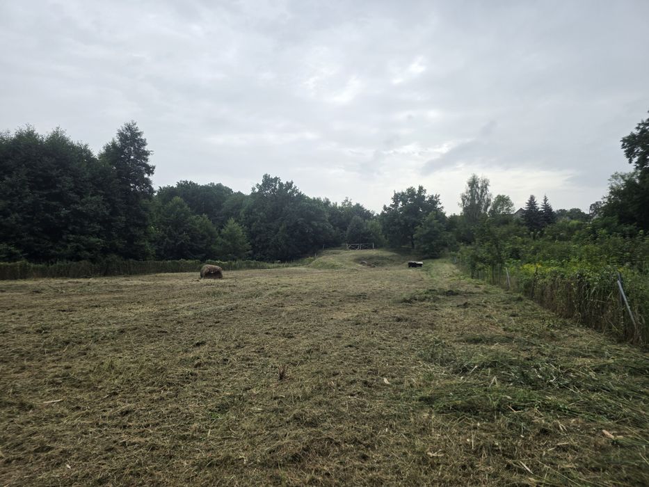 Działka budowlana 3900 m² nad Jeziorem Brodzkim – Jeziory Wysokie woj.lubuskie - Widok 5