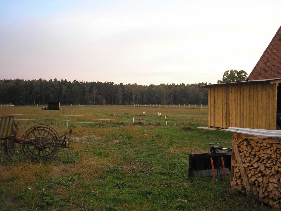 Piękne Siedlisko 1,6 ha