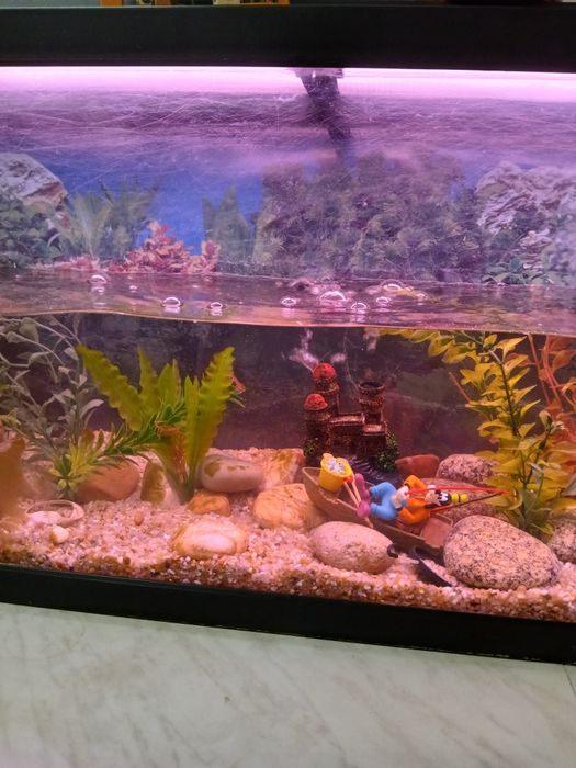 Aquário de 1 m usado em bom estado