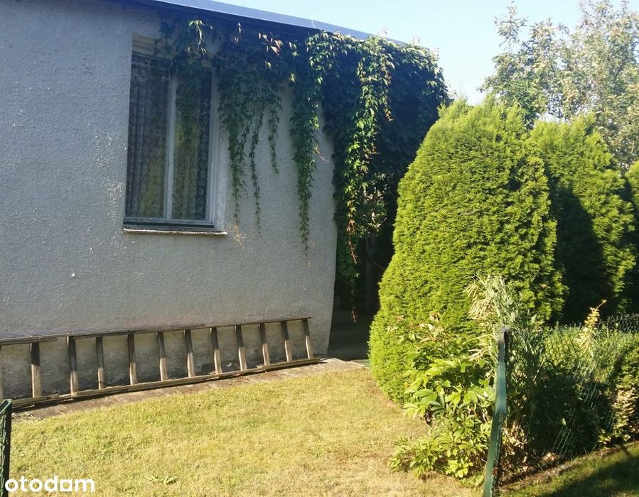 Sprzedam działkę w Osielsku - Jagodowie (285 m2)