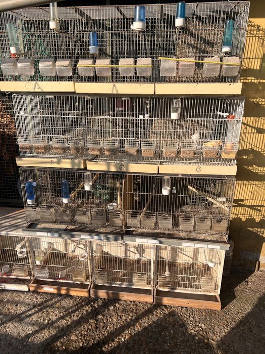 Viveiros para aves