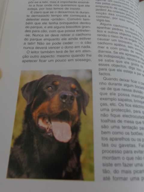 Livro sobre a raça de cão  " O Rottweiler "
