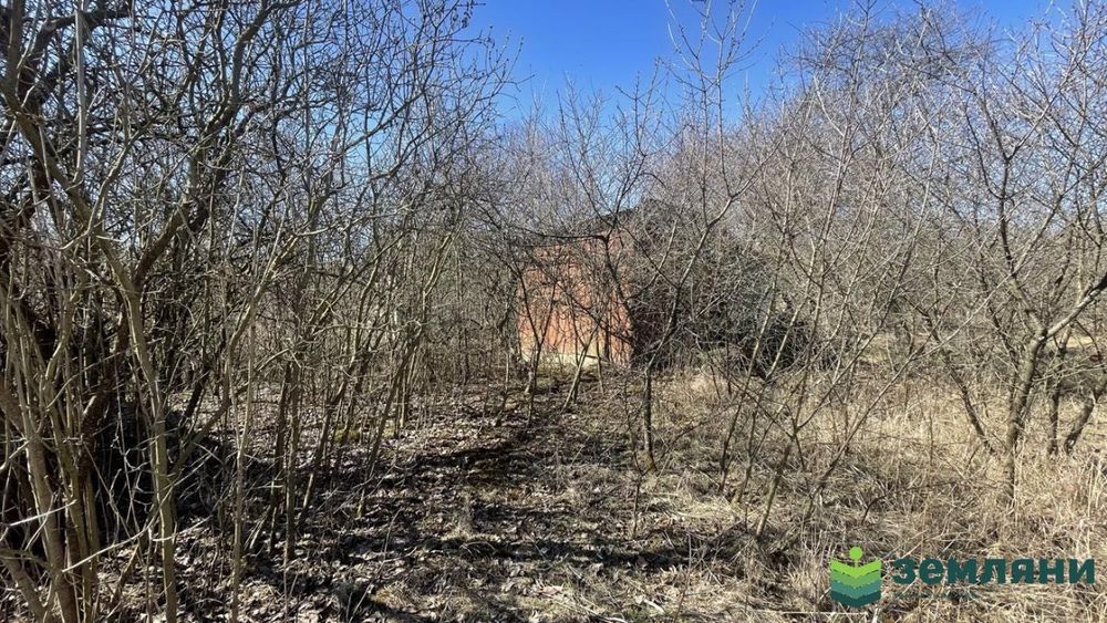 Продається дачна ділянка 4 сот в с. Підлужжя (2)