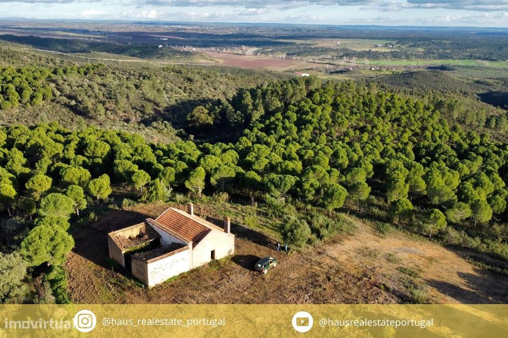 Herdade T5 Venda em Escalos de Baixo e Mata,Castelo Branco