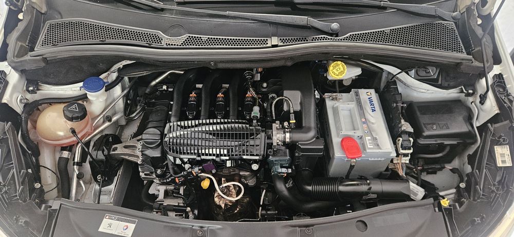 Estufamento / lavagem auto