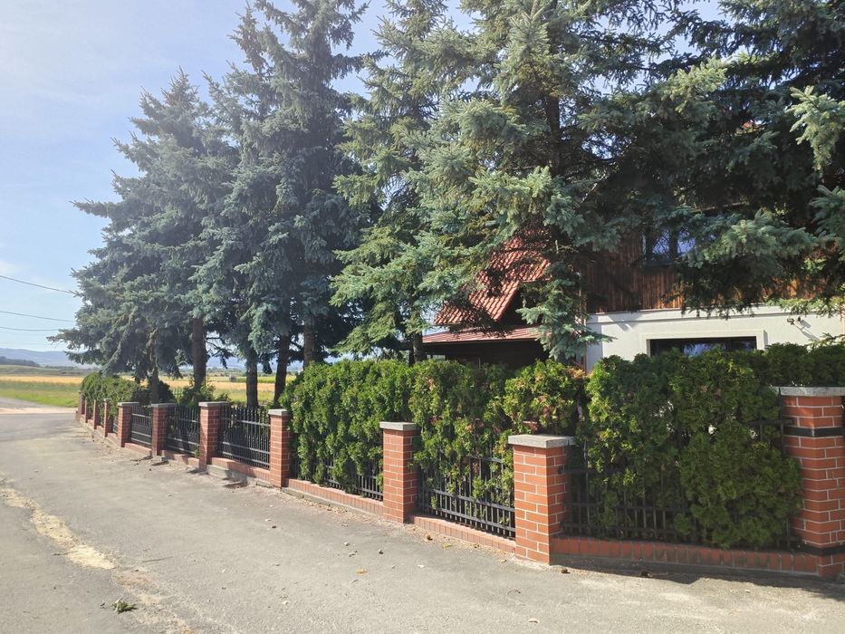 Dom – Świdnica - Widok 4
