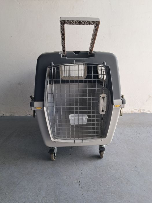 Transportadora Gulliver VI