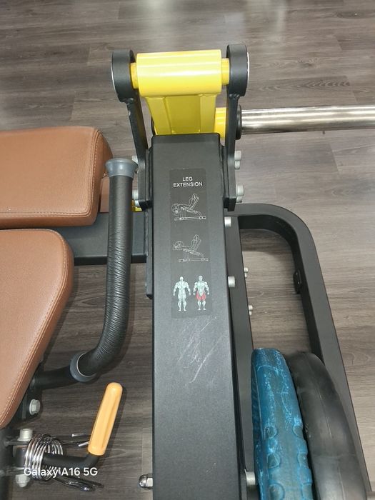 Leg Extension Livre