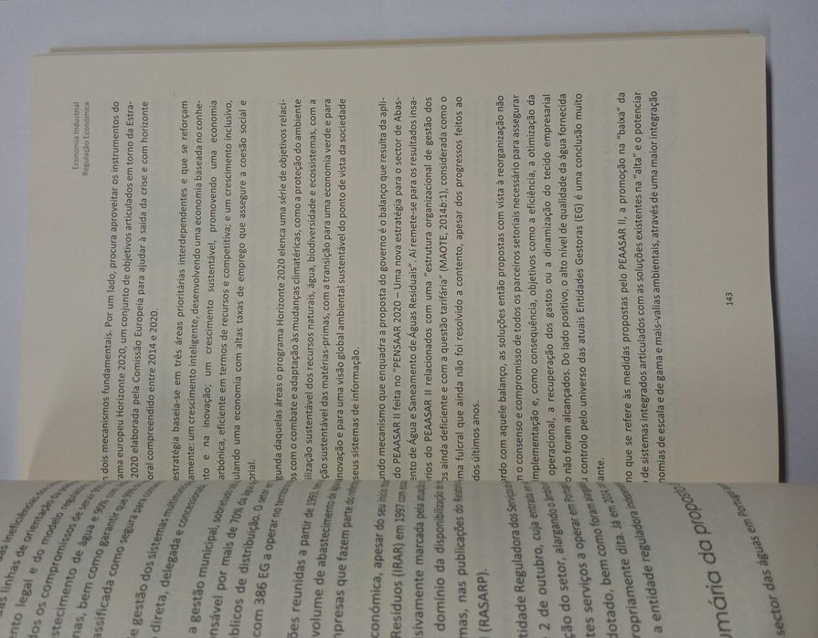 Estudos de Homenagem ao Professor José Amado da Silva