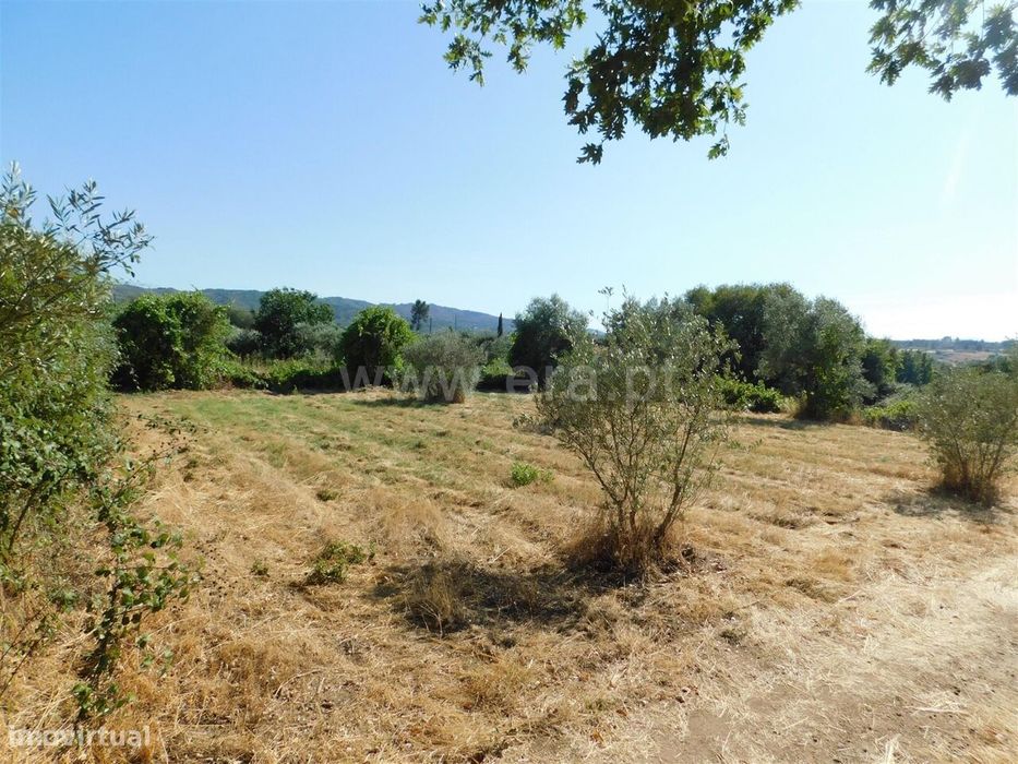 Quintinha / Covilhã, Peraboa — Peraboa, Castelo Branco