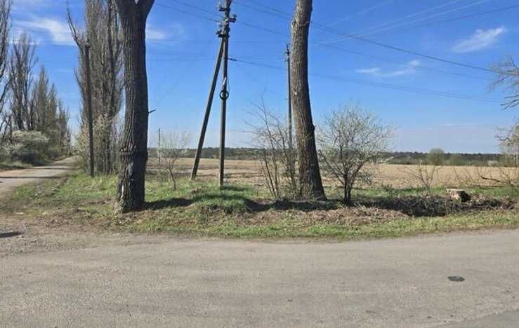 Земельна ділянка с/г призначення, с.Славне на вул.Тиха, площа 12 соток