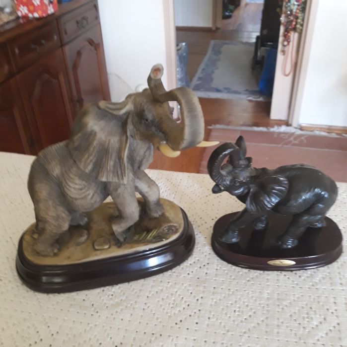 Dwa słonie sprzedam