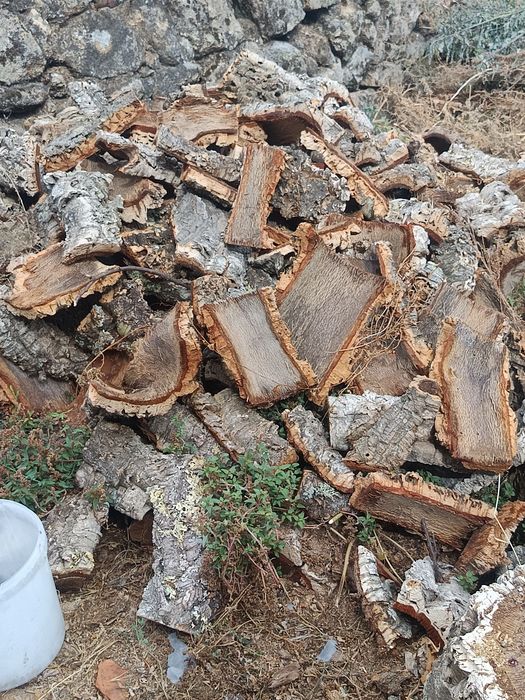 Bocadinhos Cortiça Virgem
