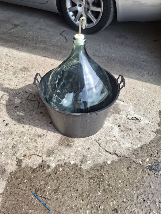 Balony gonsior na wino