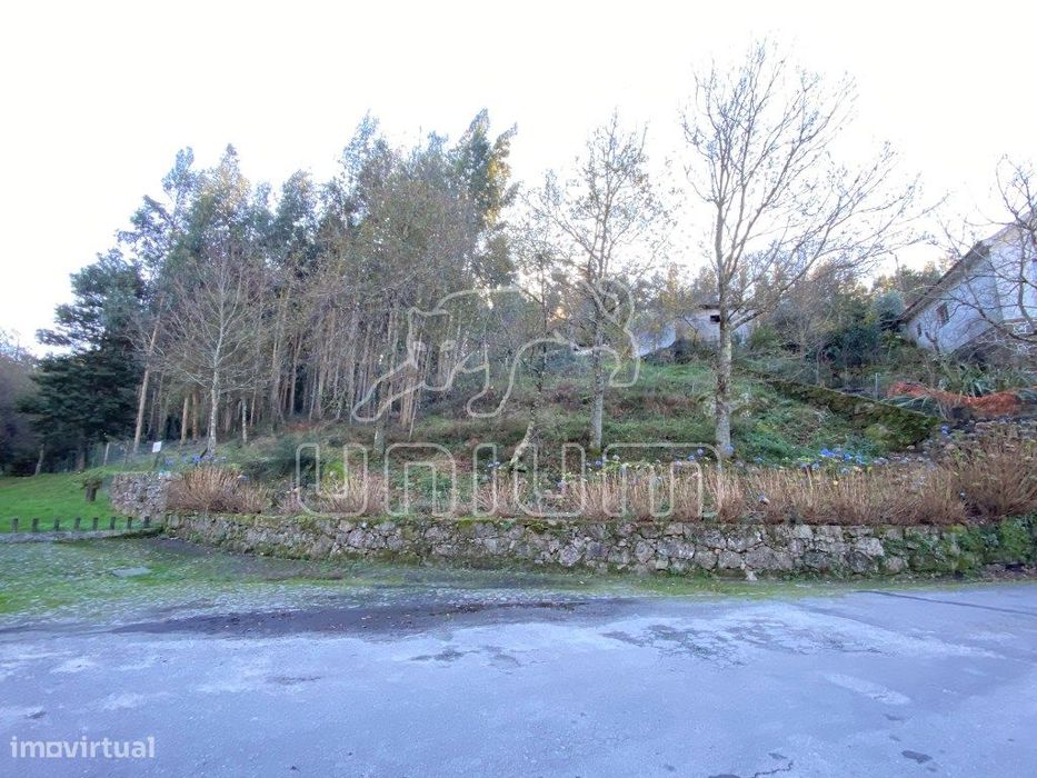 Terreno Portela Susã
