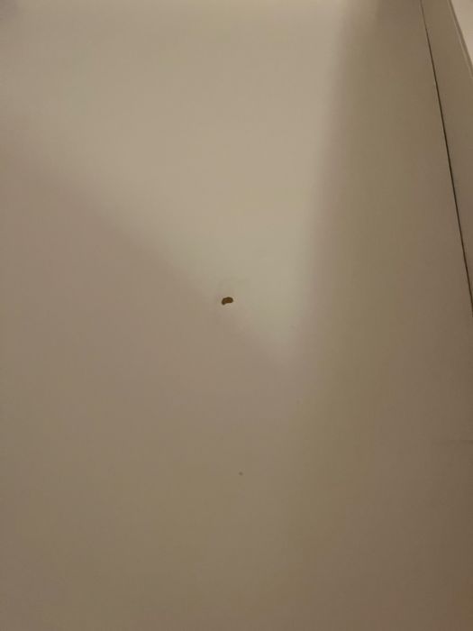 Troll Przewijak wolnostojący