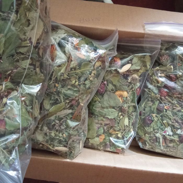 Домашним питомцам