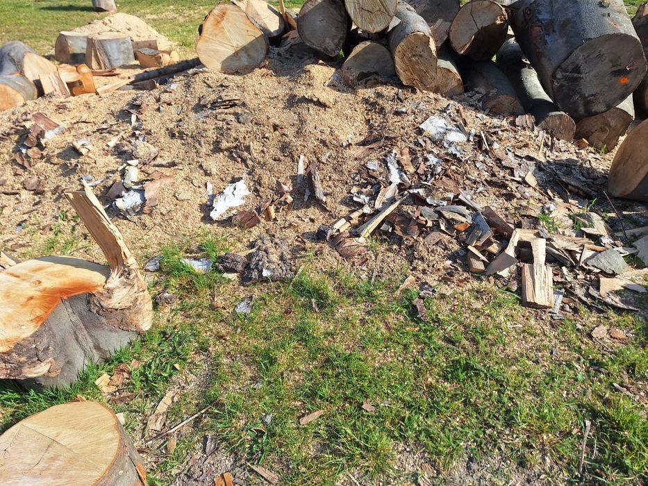 Trociny - opal na wode