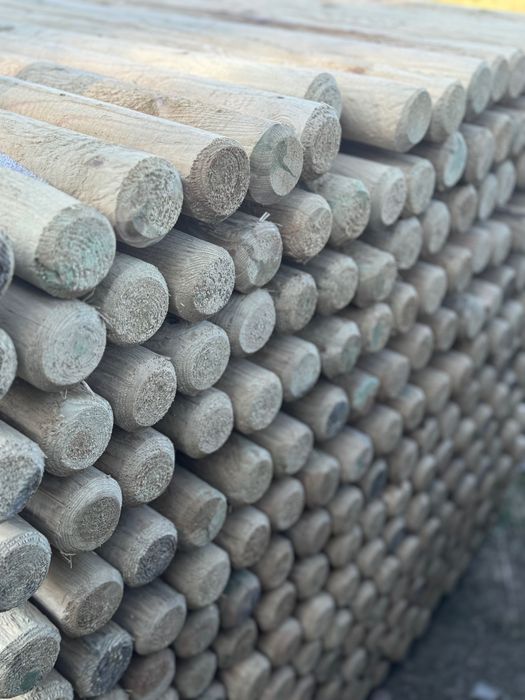 Palisada/paliki/słupki dł 250 cm