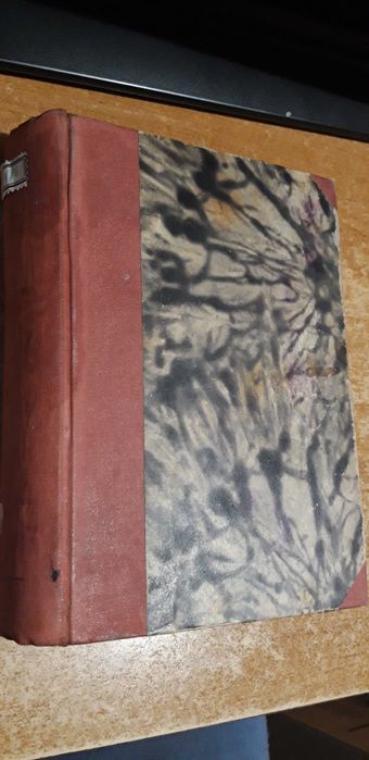 MAGDALENA czyli poświecenie młodej wieśniaczki-Kavanagh-1855