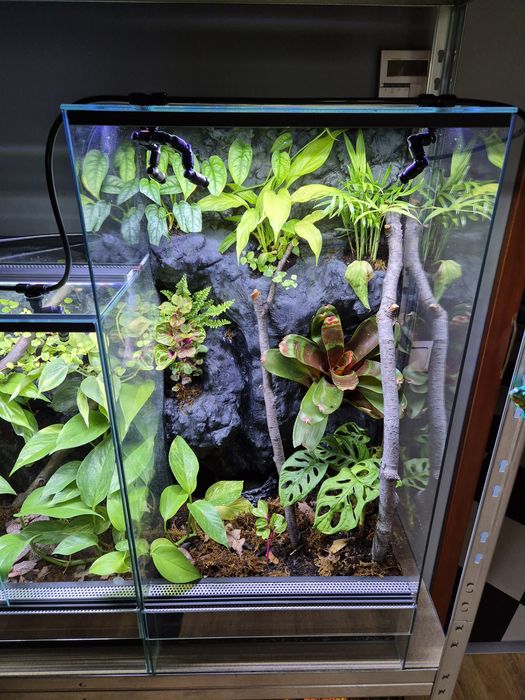Terrarium tropikalne 40x40x80