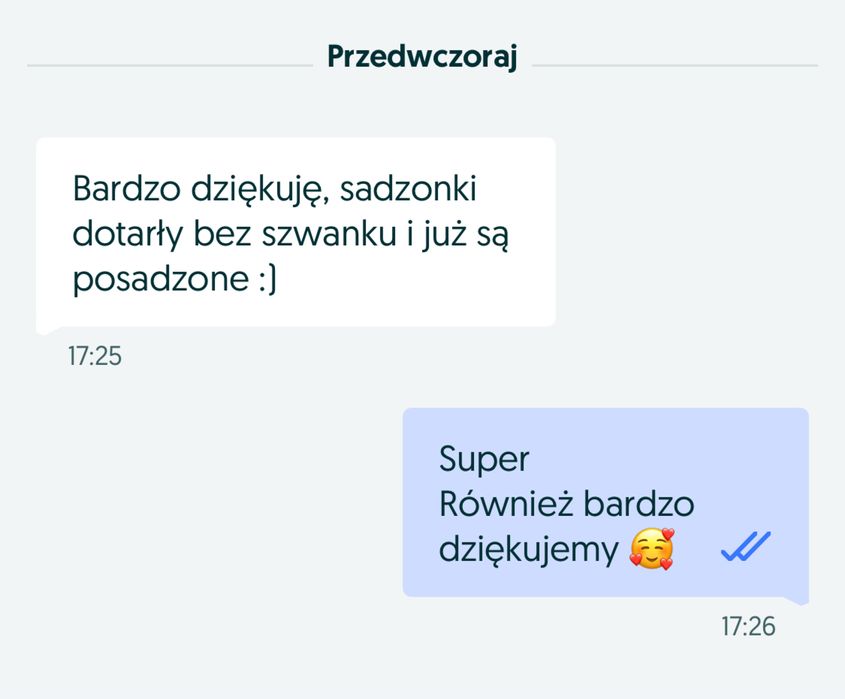 Sprzedam sadzonki malin jesiennych