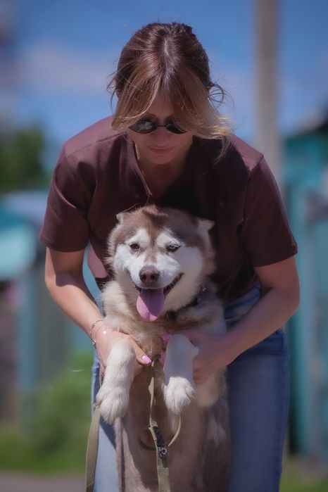 Хаскі, дівчинка в хороші руки