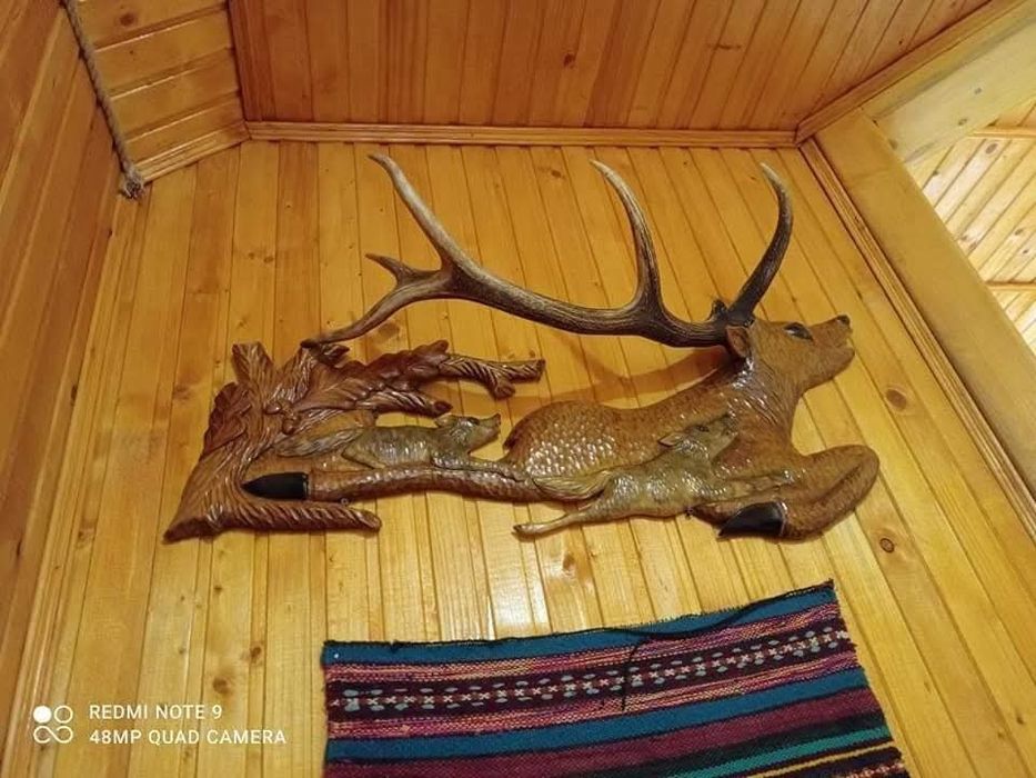 Відпочинок у Мигово